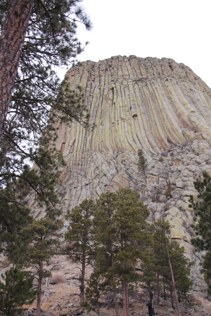 Trail Review: Tower Trail