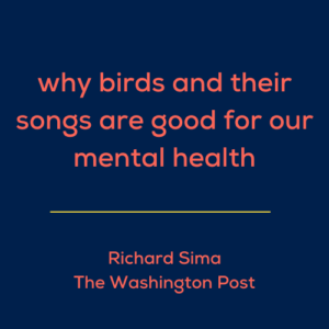 Articles - Why birds and their songs are good for our mental health