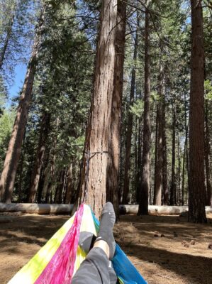 6FB71E16-7413-46C4-92DB-9D010C20B308_1_105_c Kings Canyon National Park